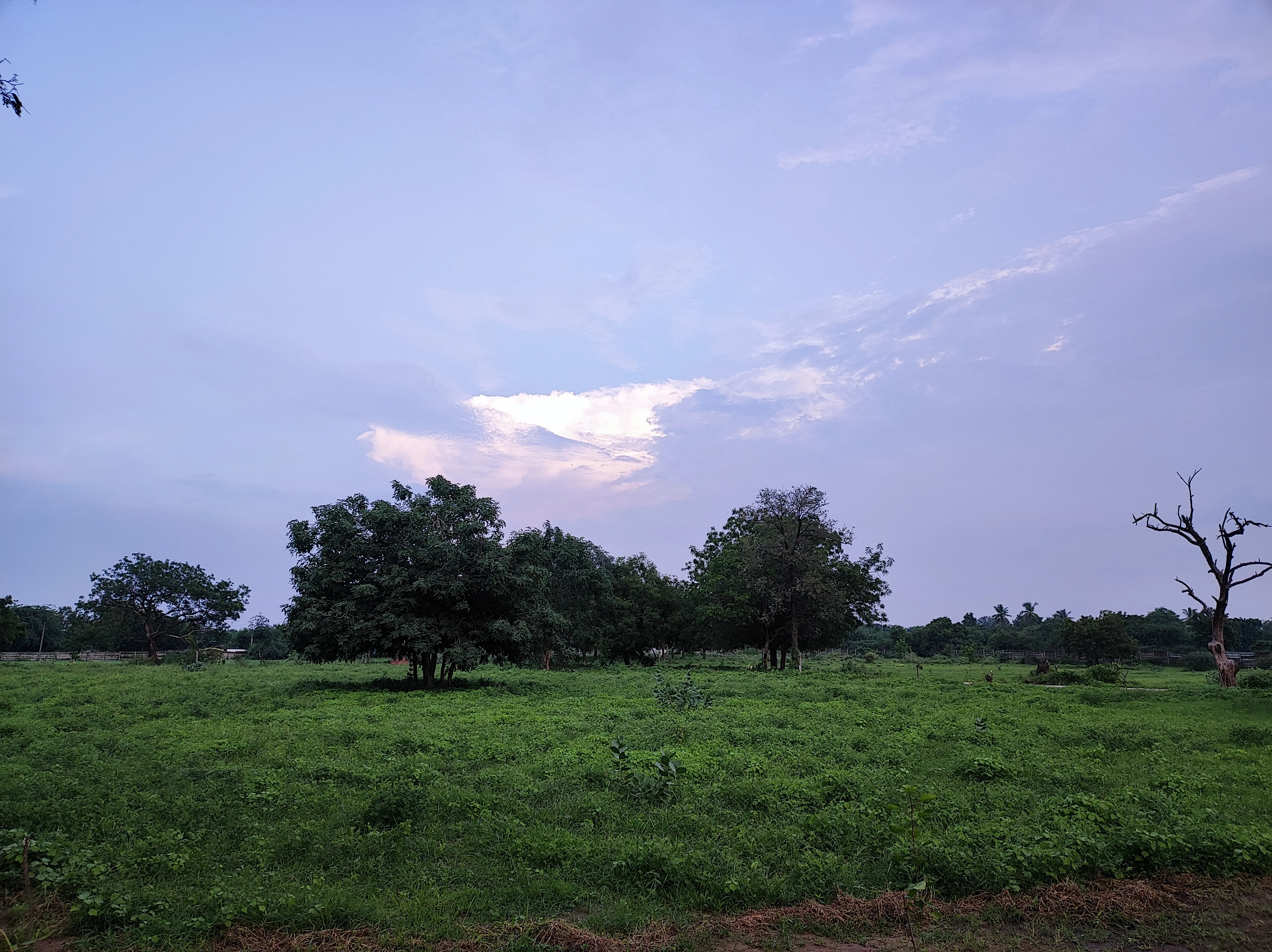 Peaceful nature surroundings at Ompuri