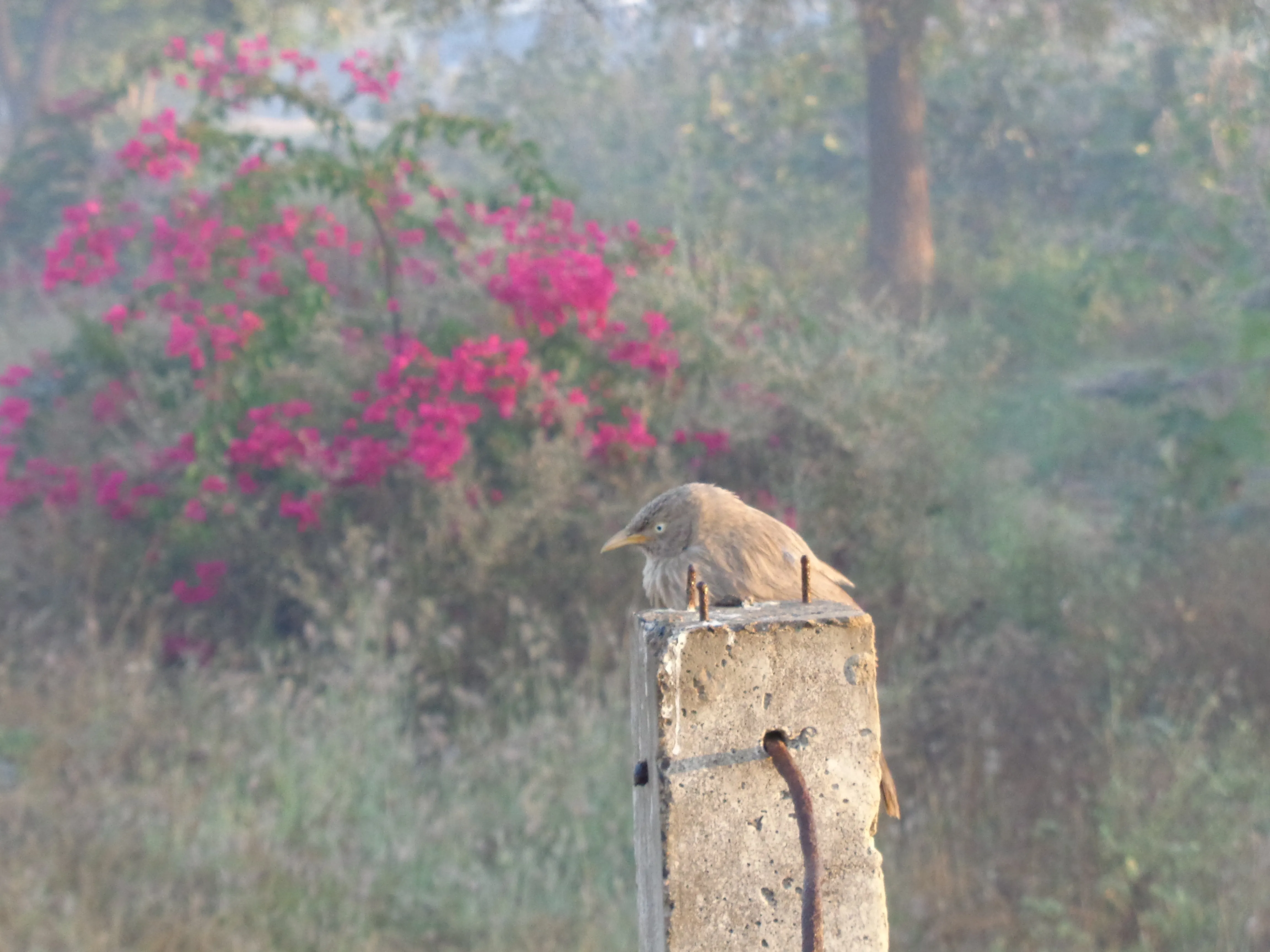 Beautiful natural environment