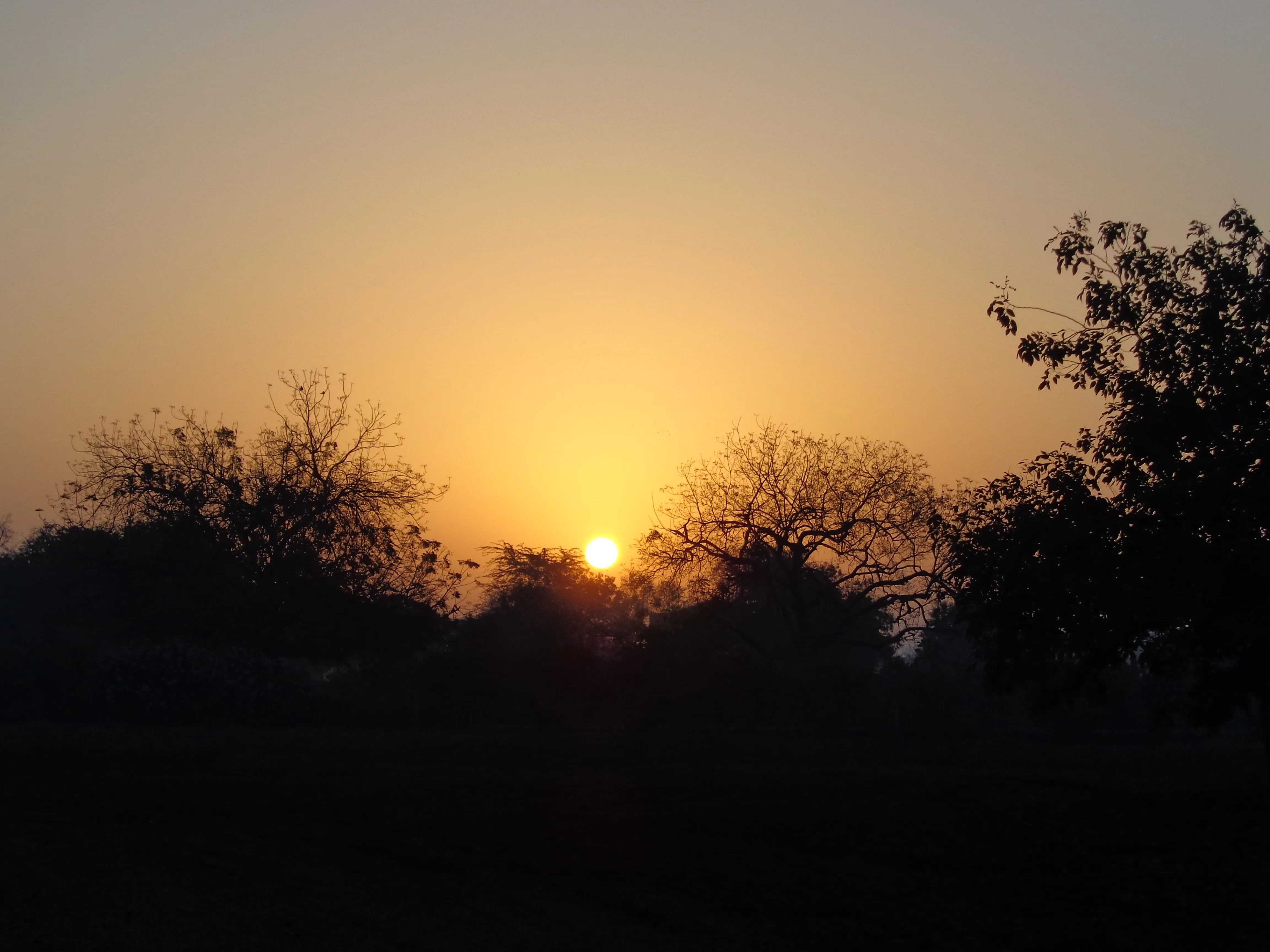 Beautiful sunset at Ompuri