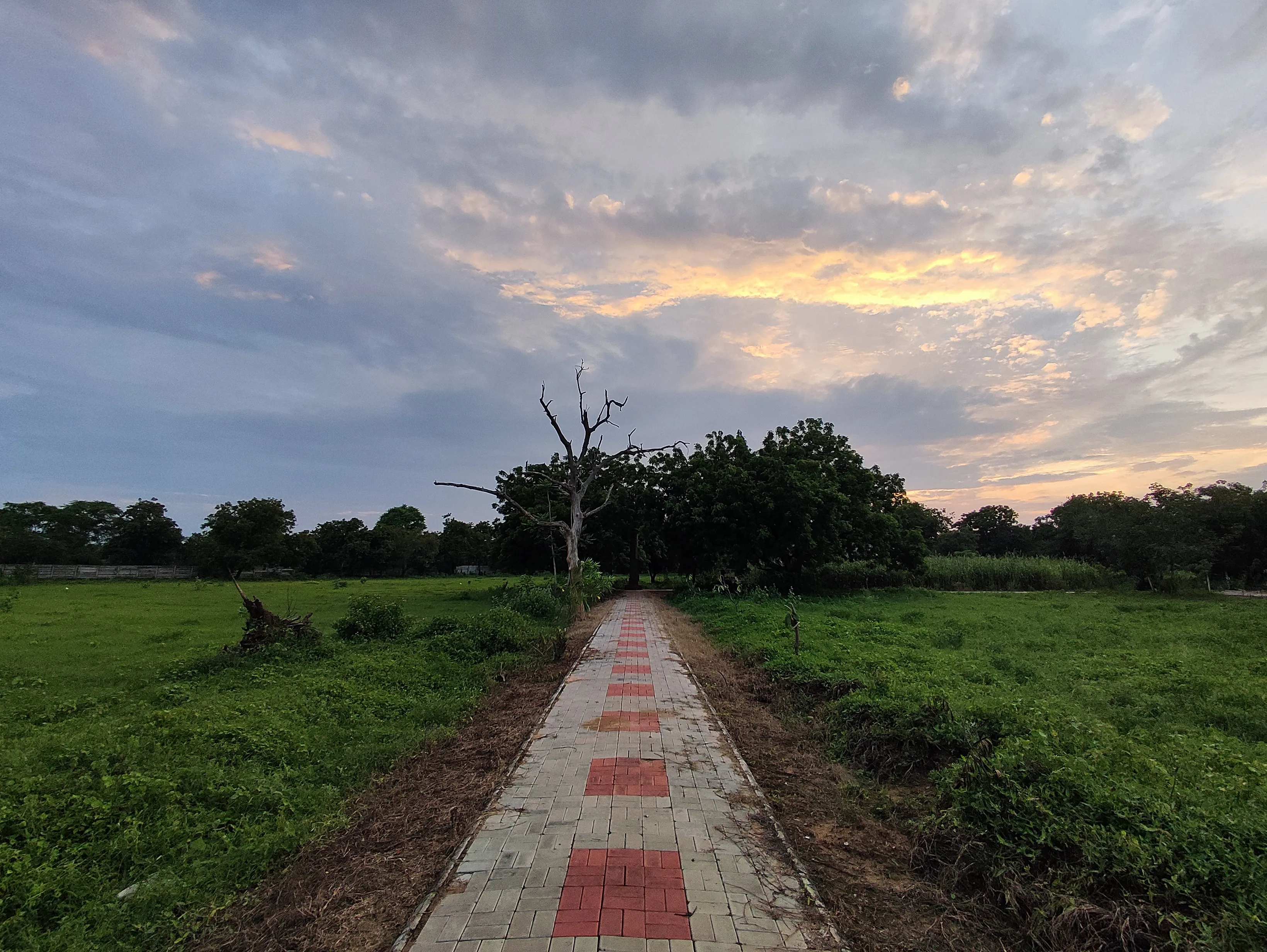Peaceful walkway through Ompuri spiritual township - Serene paths for meditation and contemplation in Gujarat's divine community